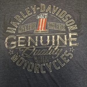 Harley-Davidson Men's Blue Graphic T-Shirt